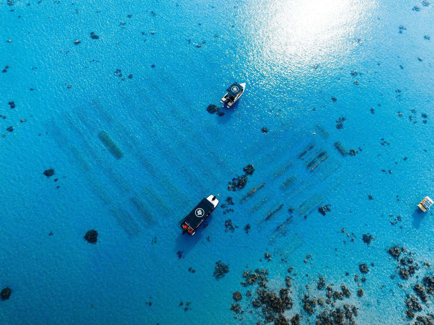 Aerial view of divers tending coral nursery frames in clear blue water