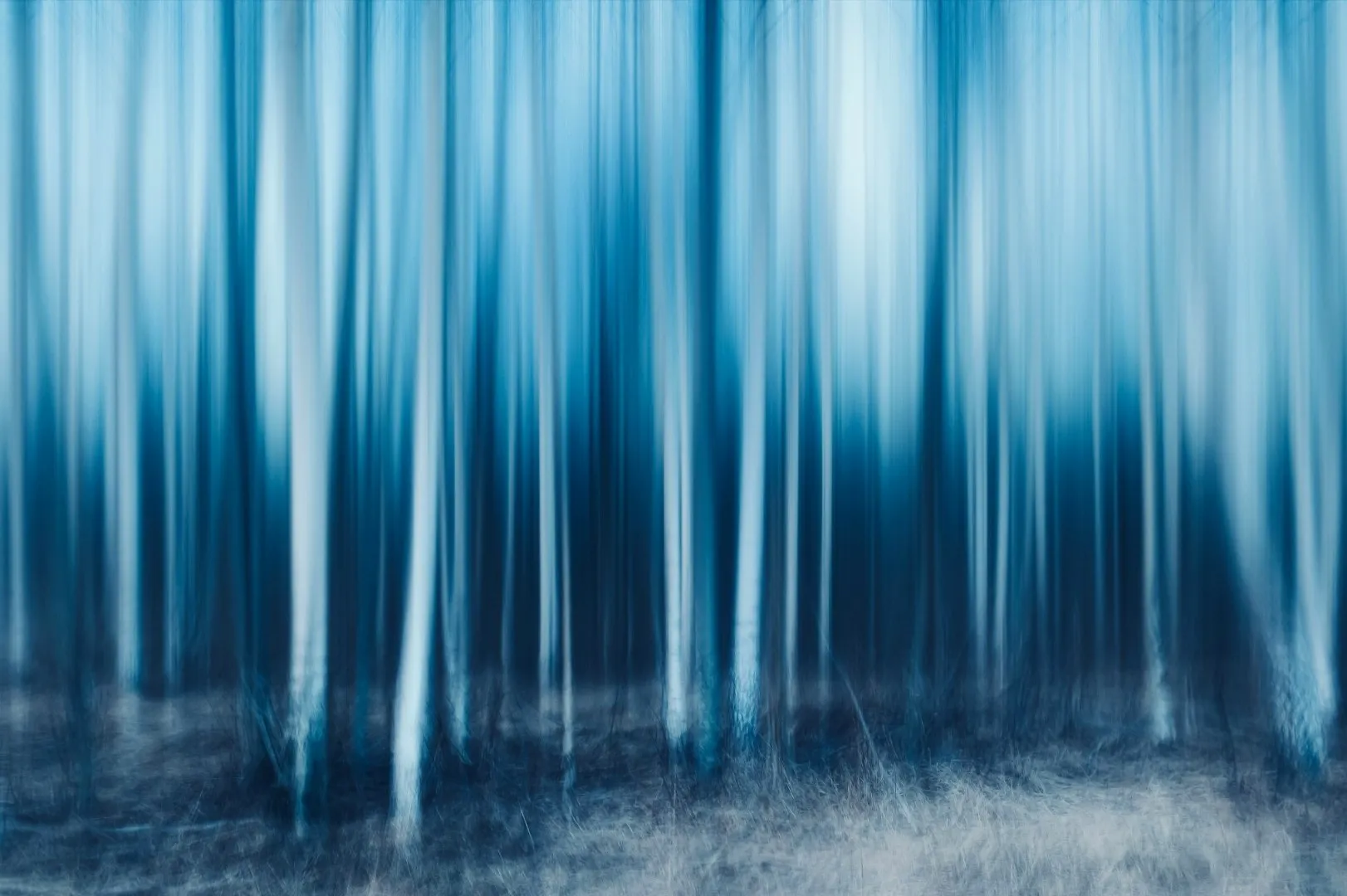 Blurred blue forest of tall trunks in mist.