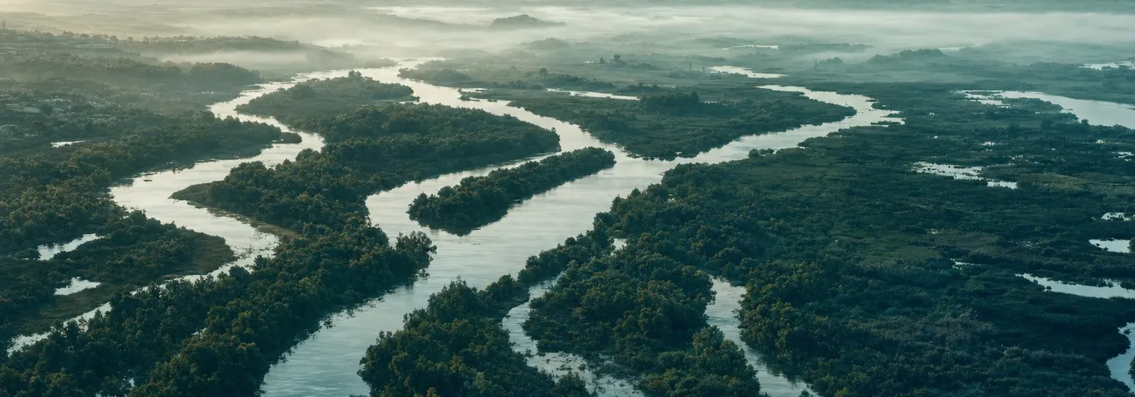 Aerial view of a river braiding through dense green forest.